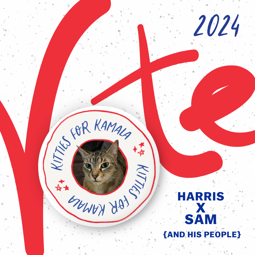 Kitties_for_Kamala_1.png